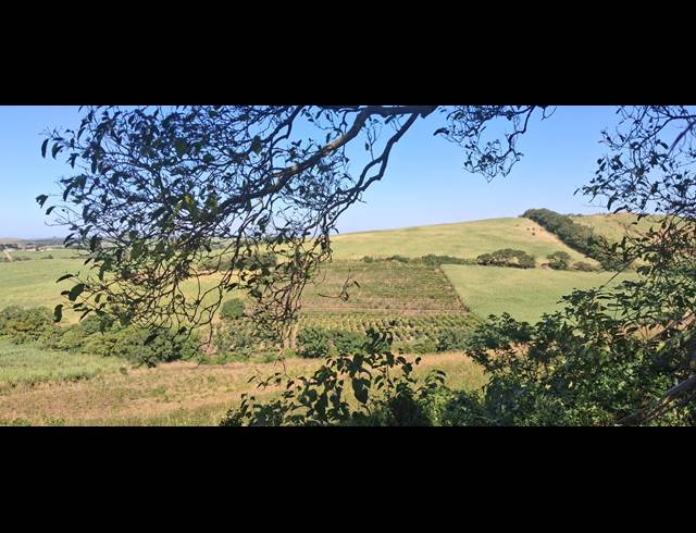 FARM FOR SALE IN HIGH RIDGE